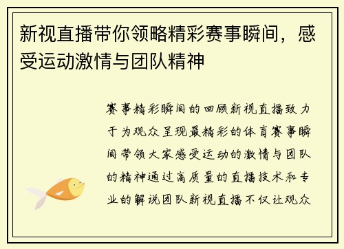 新视直播带你领略精彩赛事瞬间，感受运动激情与团队精神